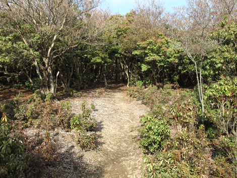 20131124hike (328)